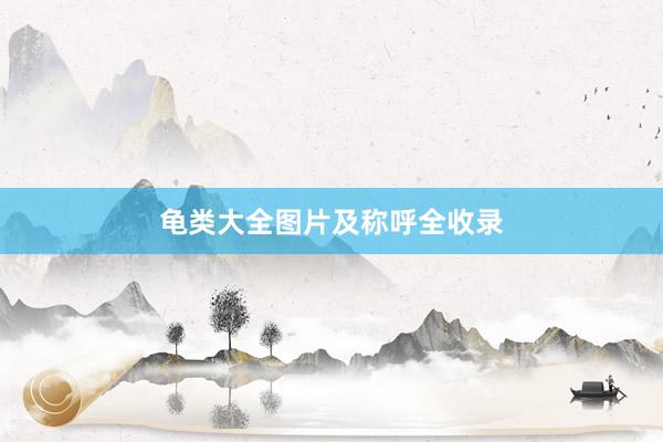 龟类大全图片及称呼全收录