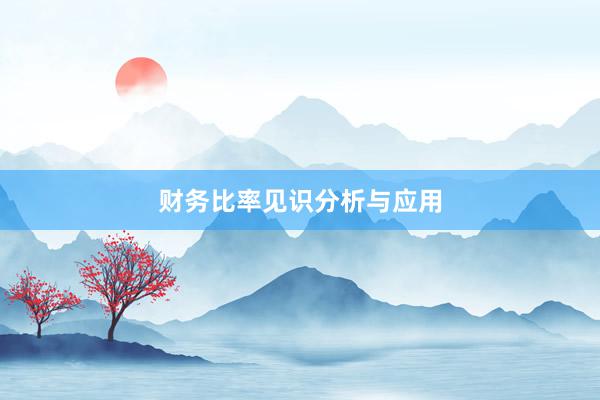 财务比率见识分析与应用